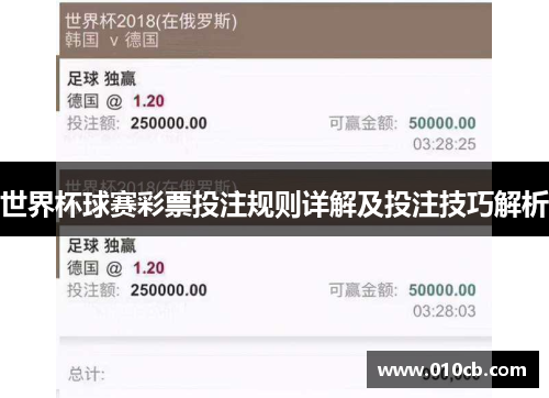 世界杯球赛彩票投注规则详解及投注技巧解析