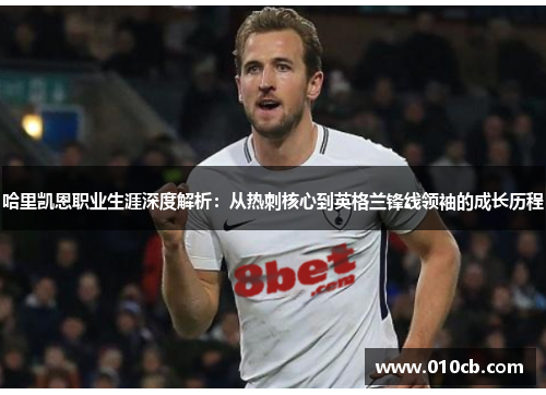 哈里凯恩职业生涯深度解析：从热刺核心到英格兰锋线领袖的成长历程